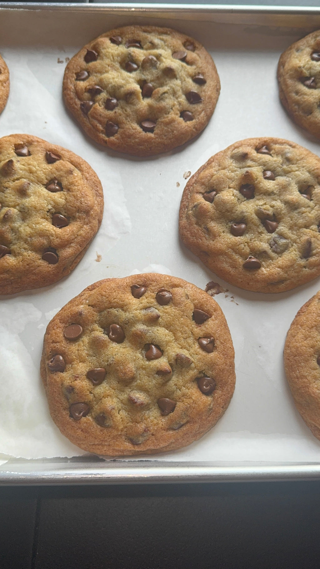 Gourmet Chocolate Chip