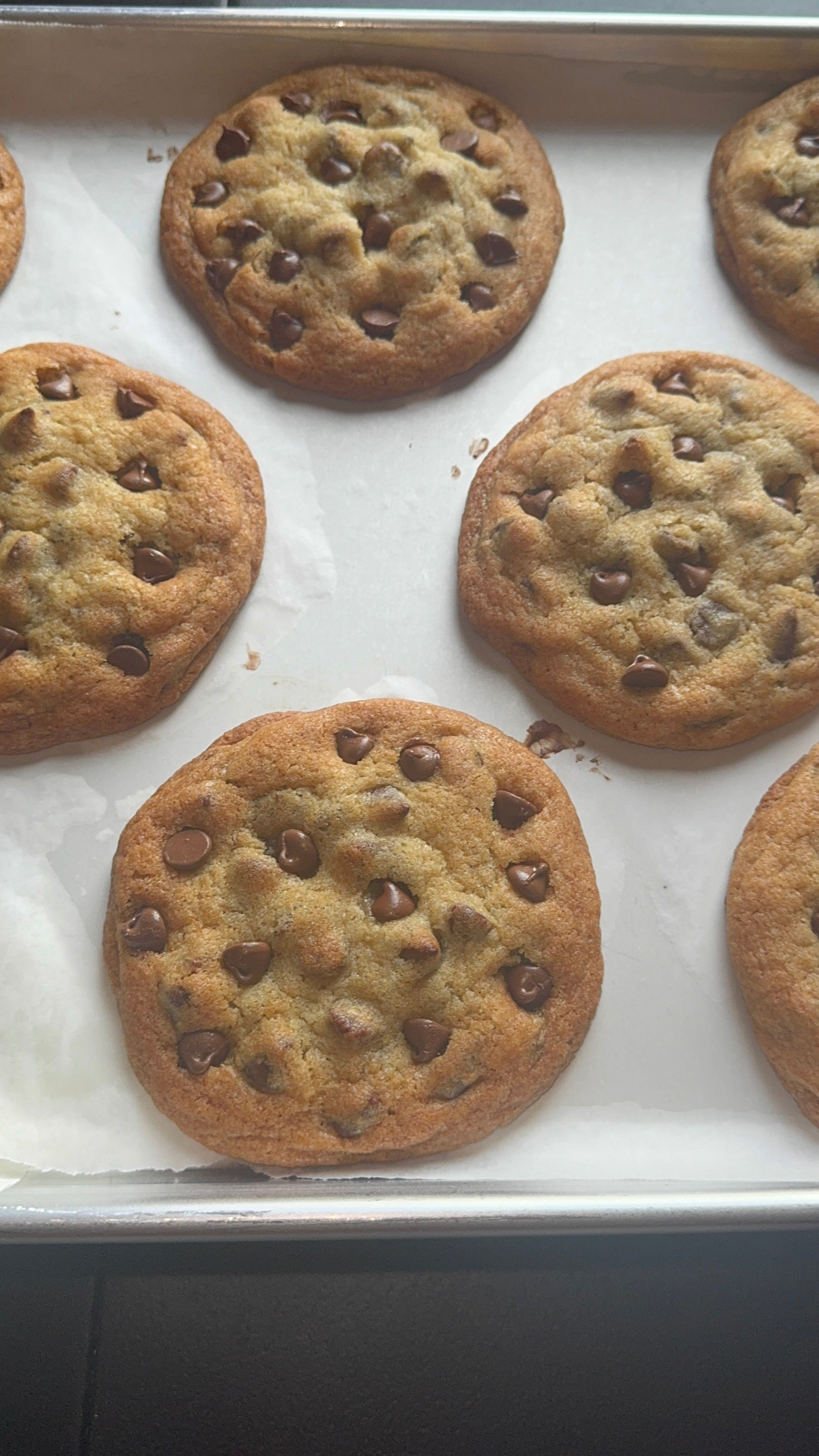 Gourmet Chocolate Chip