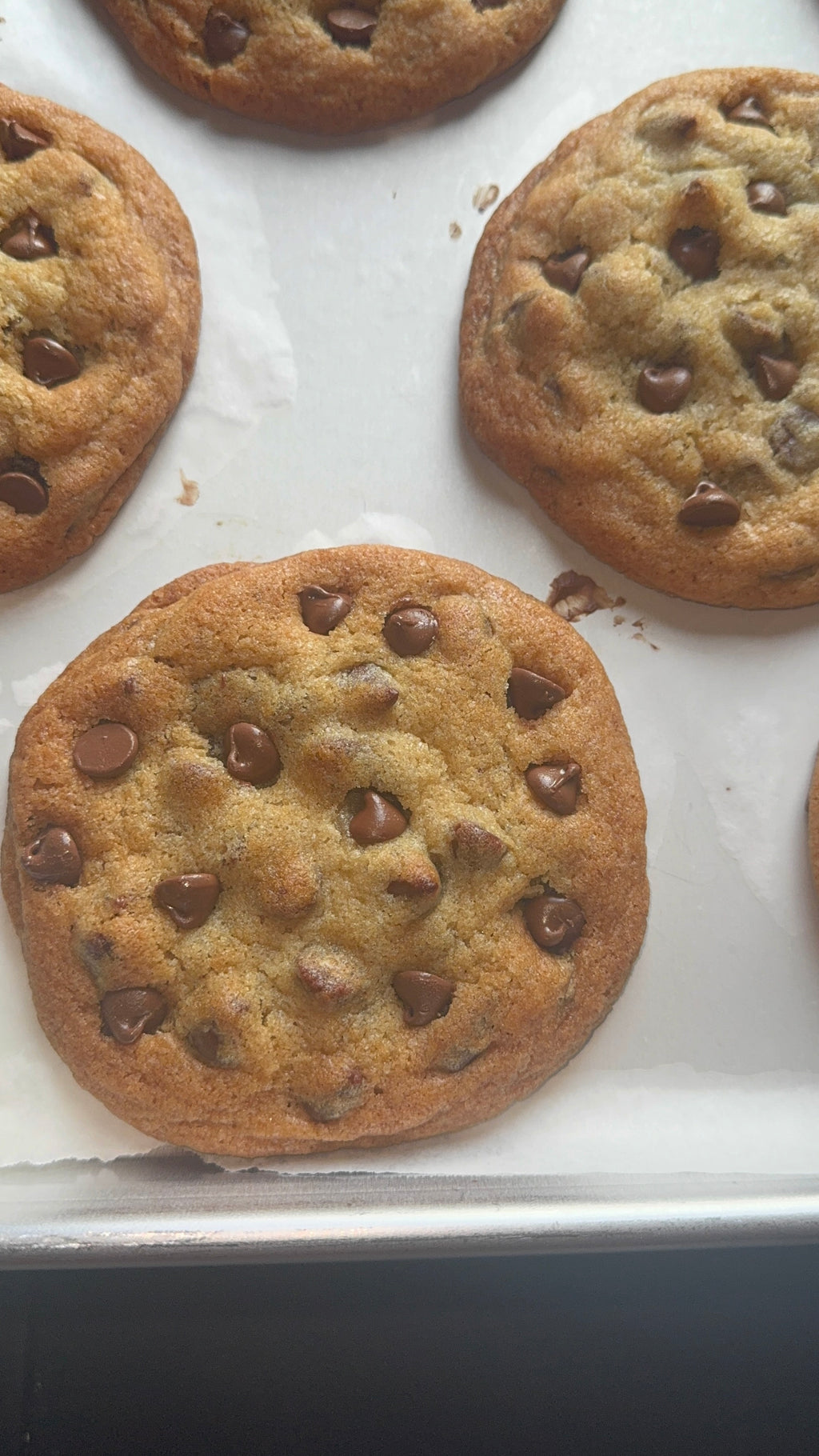 Gourmet Chocolate Chip