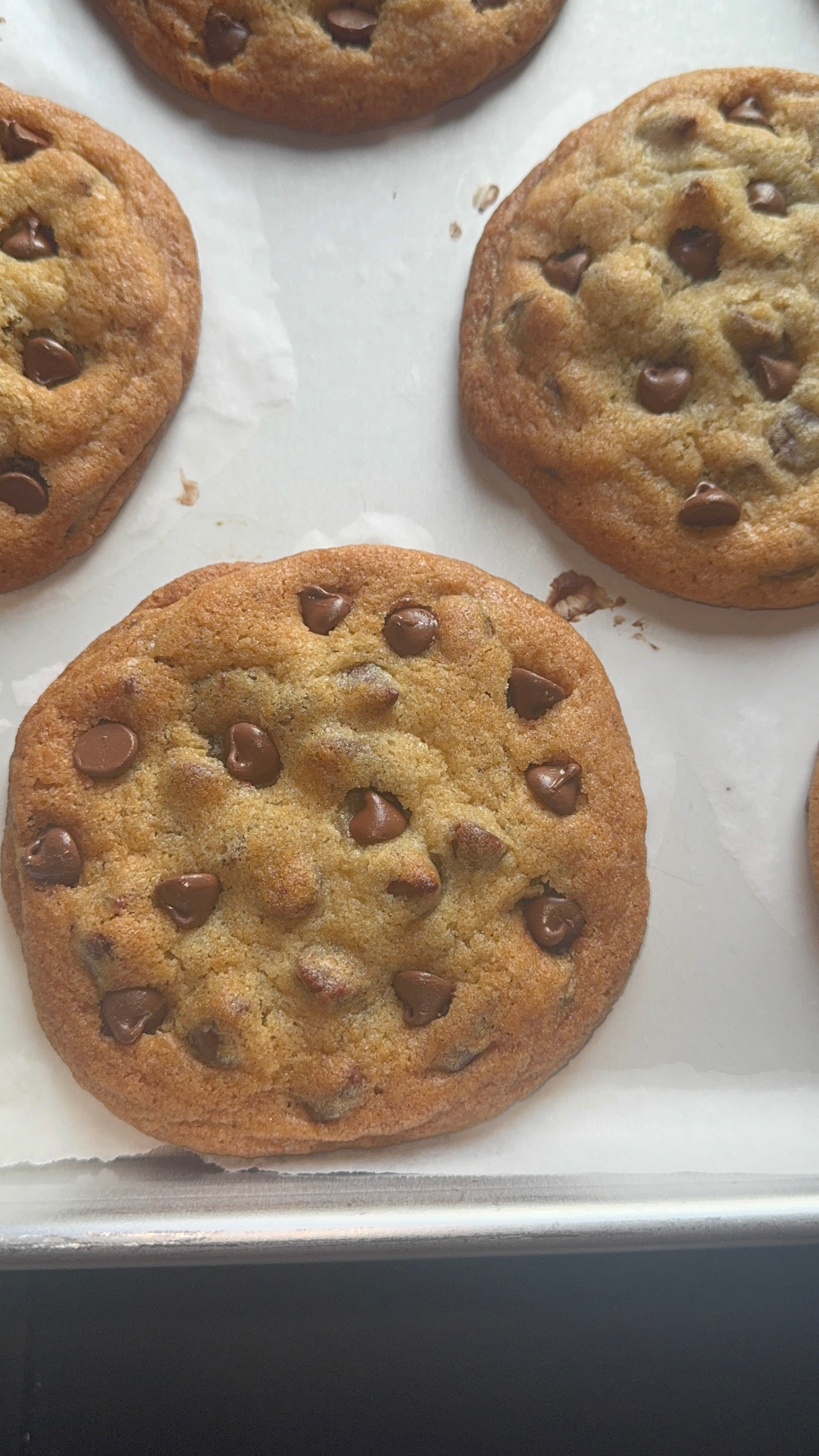 Gourmet Chocolate Chip