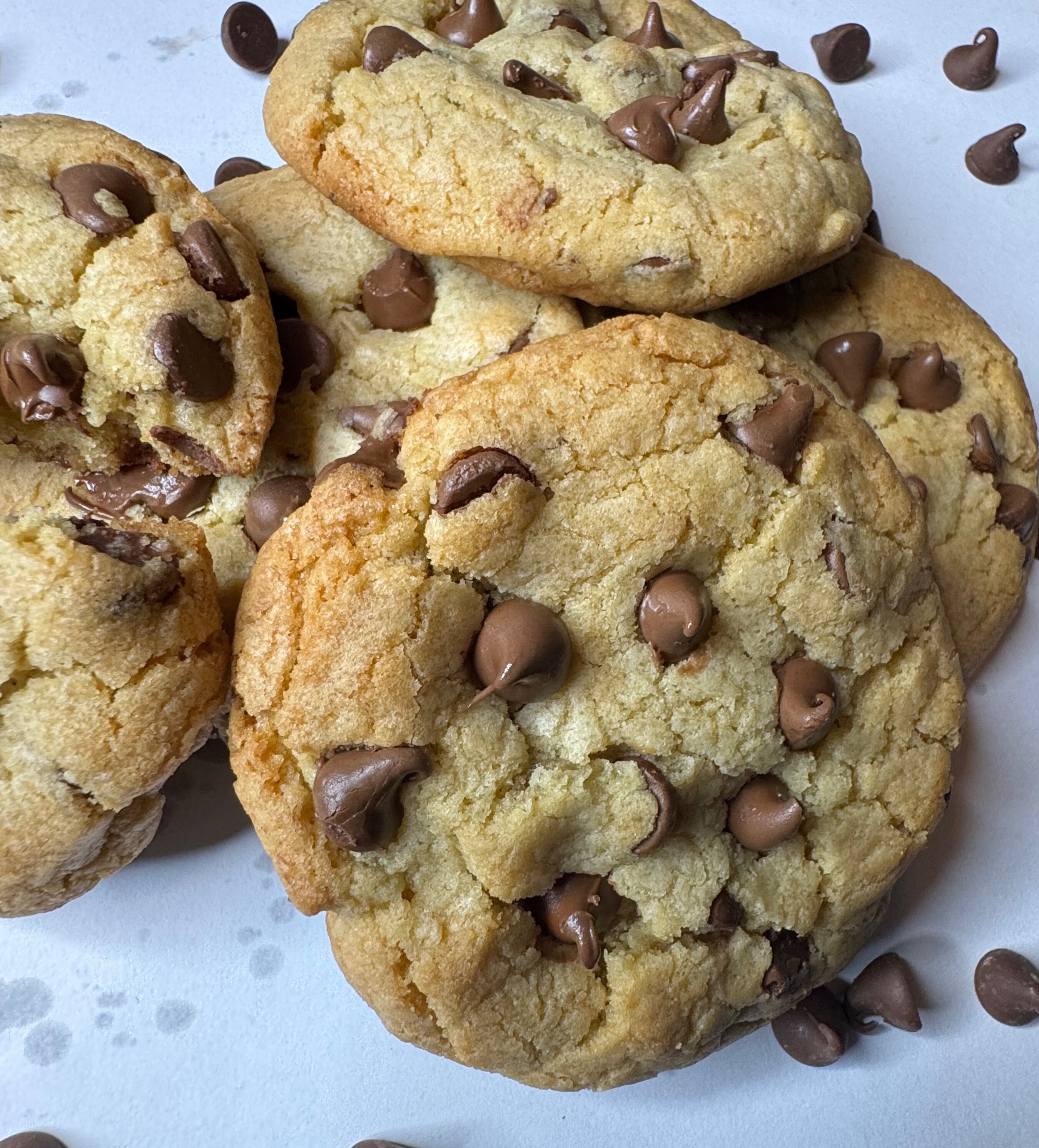 Chocolate Chip Cookie